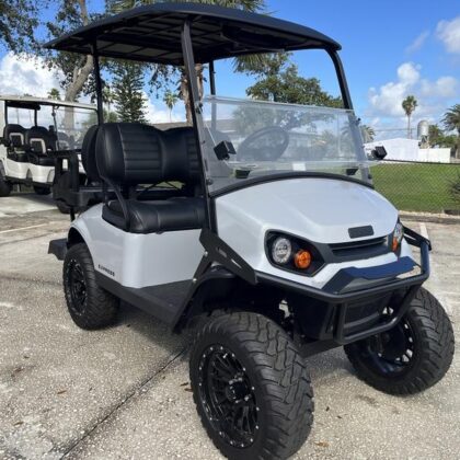 Stardust 2025 E-Z-GO Express 4 Gas