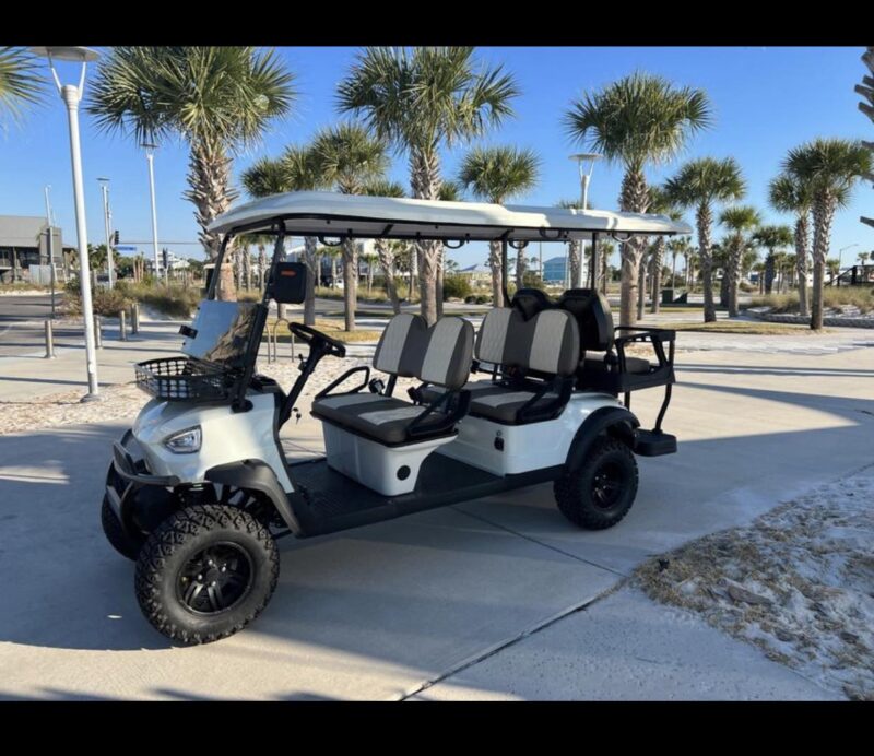 2023 Vivid EV V6L White - Lithium - Image 19