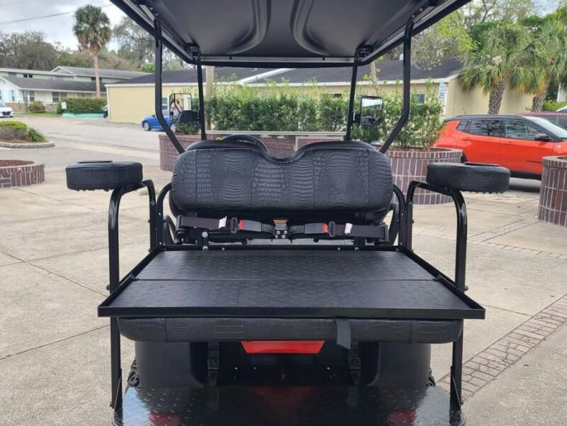 Ash 2019 Club Car Tempo - Image 3