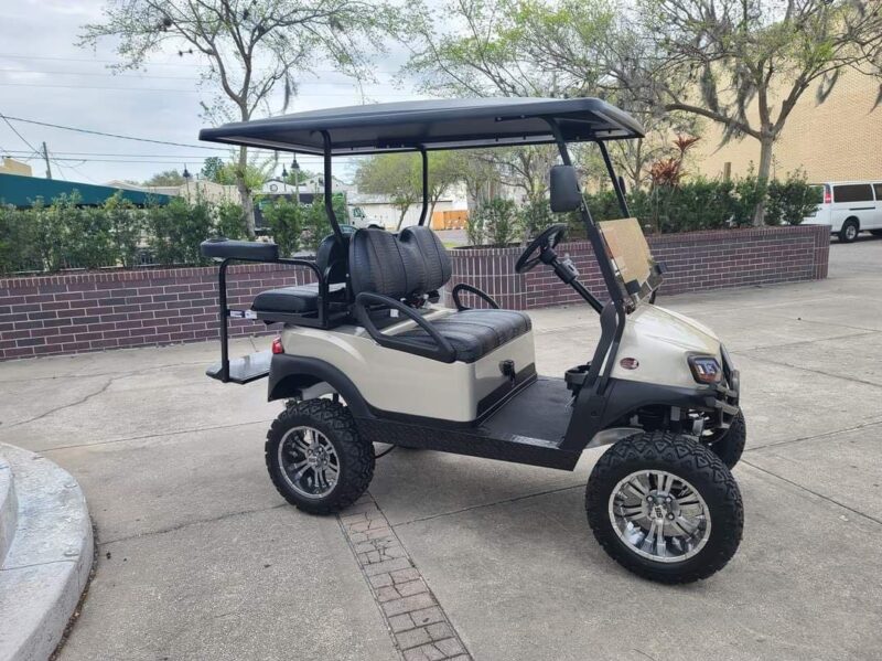 Ash 2019 Club Car Tempo - Image 7