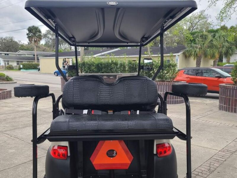 Ash 2019 Club Car Tempo - Image 4