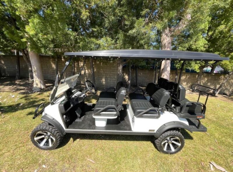 2022 Evolution Forester 6 seater electric - Image 6