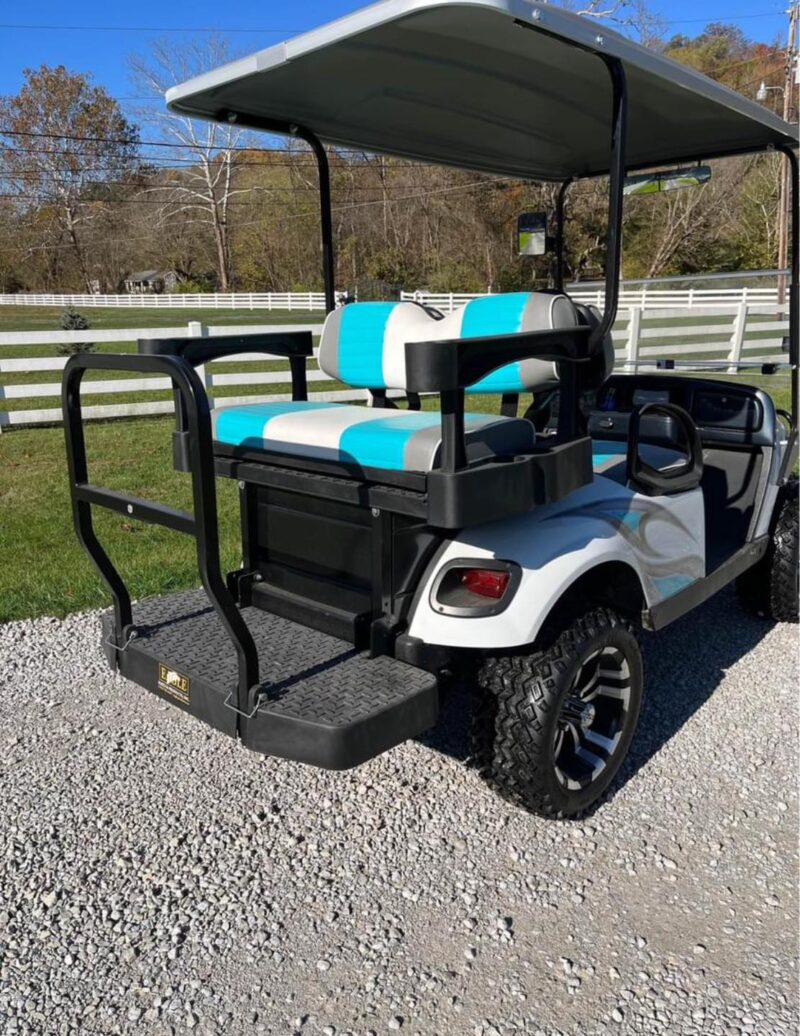 2018 EZGO TXT 48v 2023 batteries - Image 5