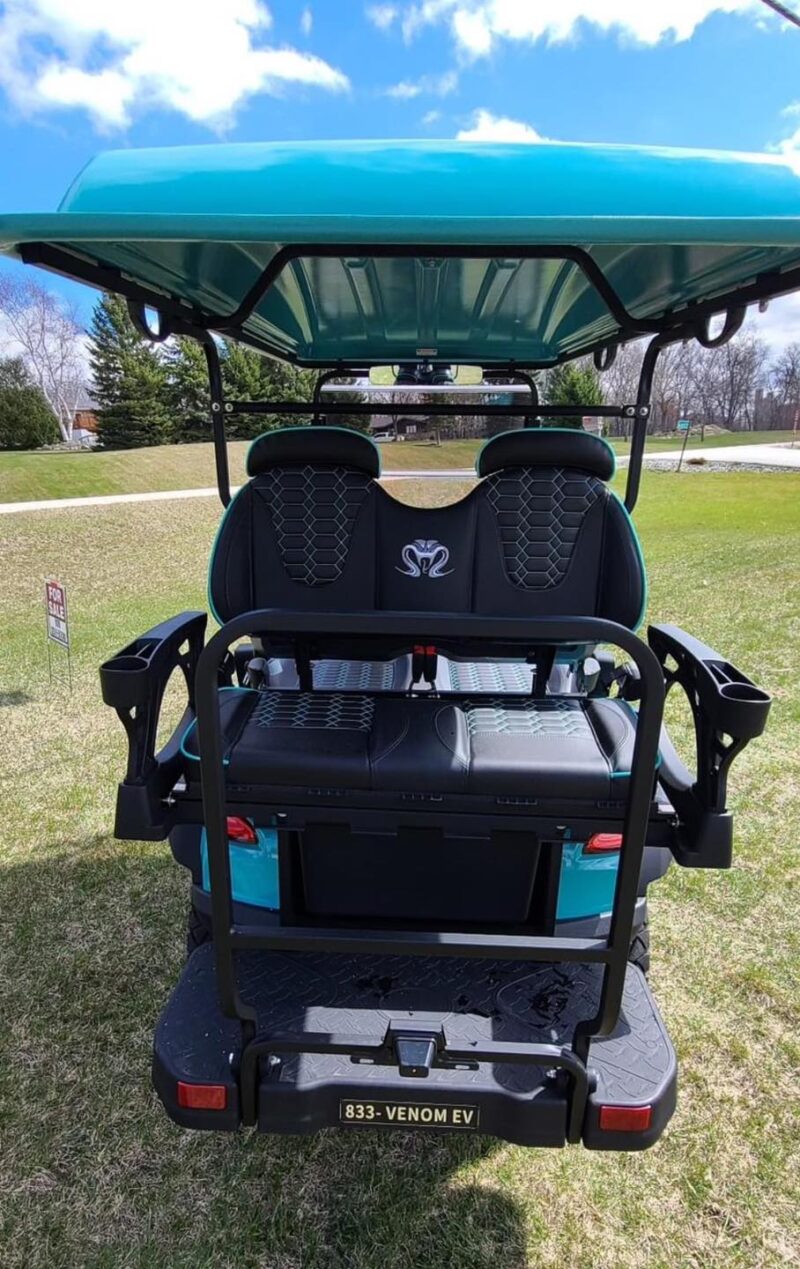 2024 Venom Strike 4 Seater - Teal. - Image 3