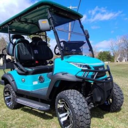 2024 Venom Strike 4 Seater - Teal.