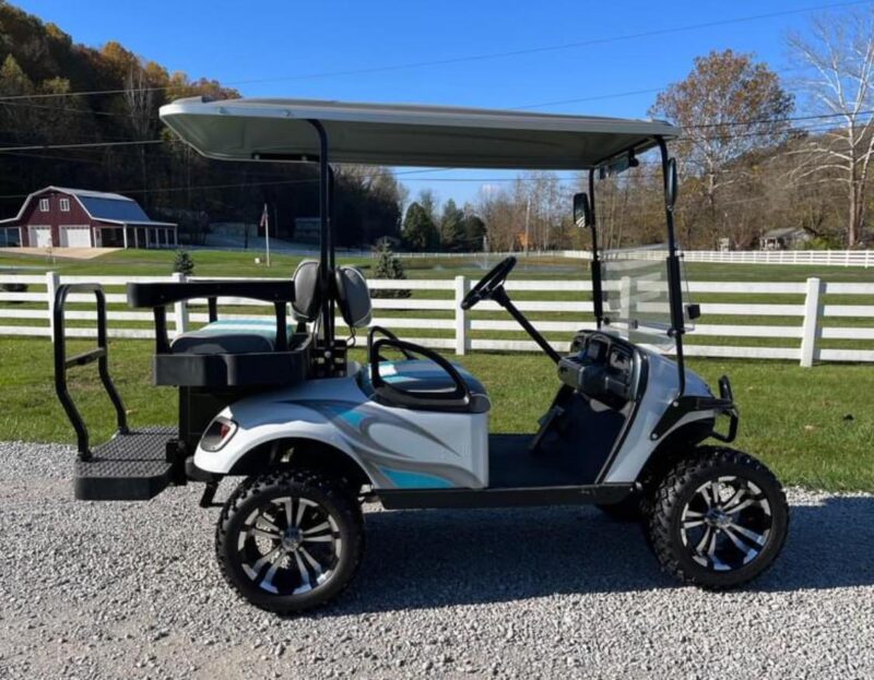2018 EZGO TXT 48v 2023 batteries - Image 6