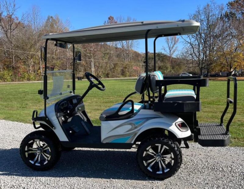 2018 EZGO TXT 48v 2023 batteries - Image 8