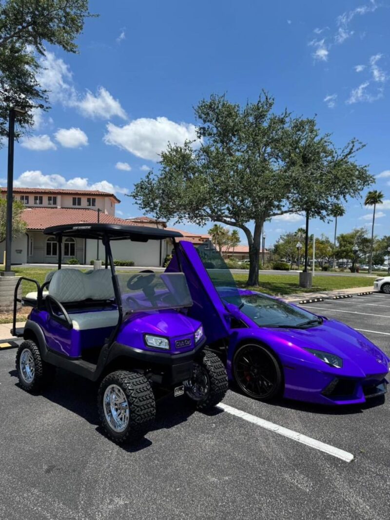 Purple Stunning 2020 Custom club car tempo - Image 12