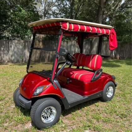 2013 Yamaha Gas 2 seater