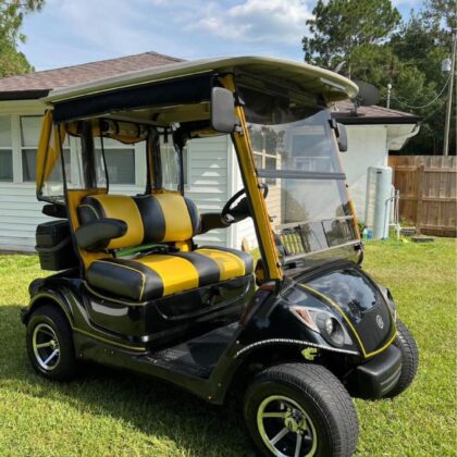 2009 Yamaha Gas 2 seater.