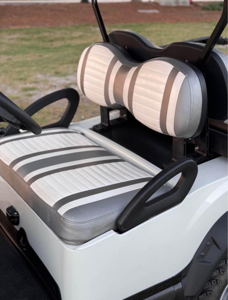 Ash 2021 club car onward lithium battery - Image 2