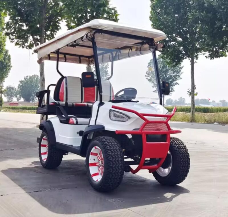 2024 Electric Zhenda golf carts ZD-C series - Image 13