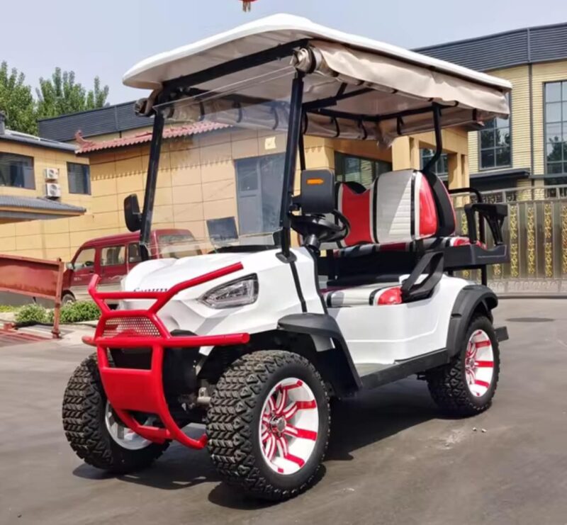 2024 Electric Zhenda golf carts ZD-C series - Image 14