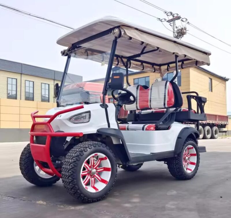 2024 Electric Zhenda golf carts ZD-C series - Image 10