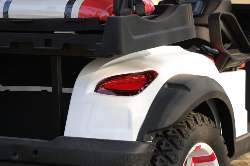 2024 Electric Zhenda golf carts ZD-C series - Image 9