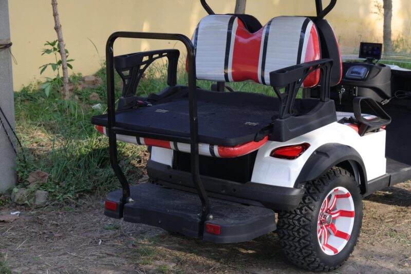 2024 Electric Zhenda golf carts ZD-C series - Image 5