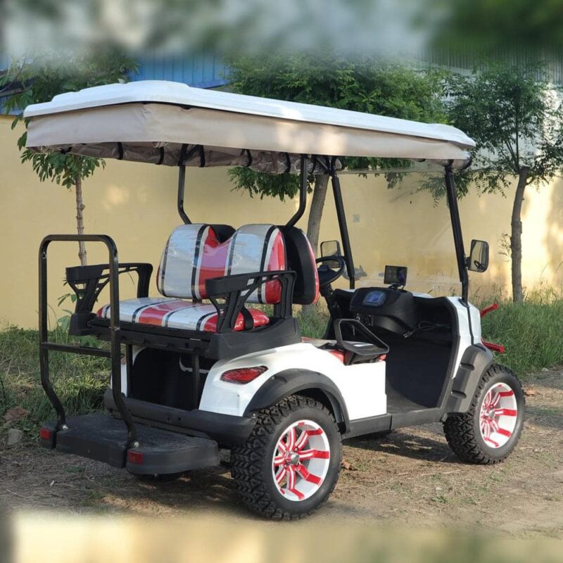 2024 Electric Zhenda golf carts ZD-C series - Image 3