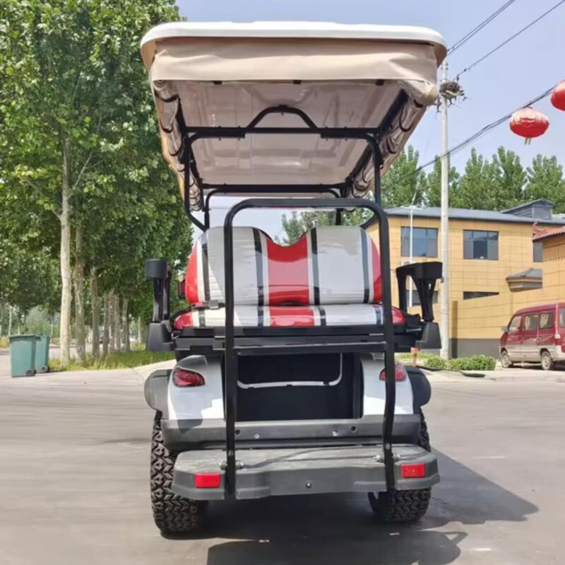 2024 Electric Zhenda golf carts ZD-C series - Image 12