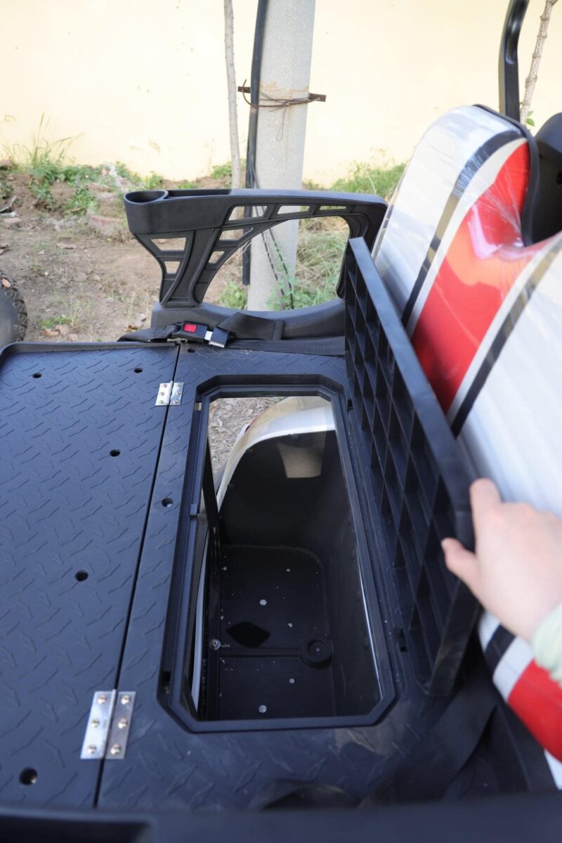 2024 Electric Zhenda golf carts ZD-C series - Image 8