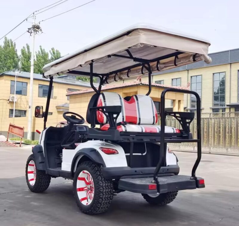 2024 Electric Zhenda golf carts ZD-C series - Image 11