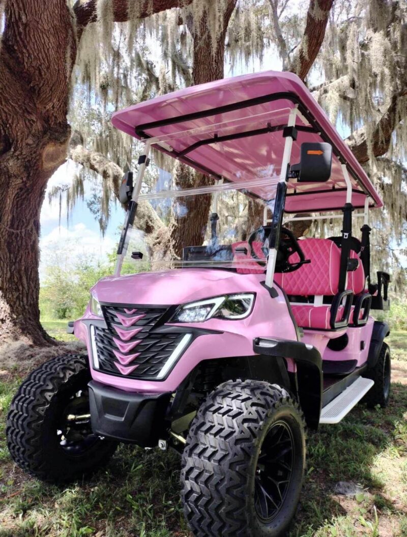2024 Barbie Pink KK Golf Kart - Image 13