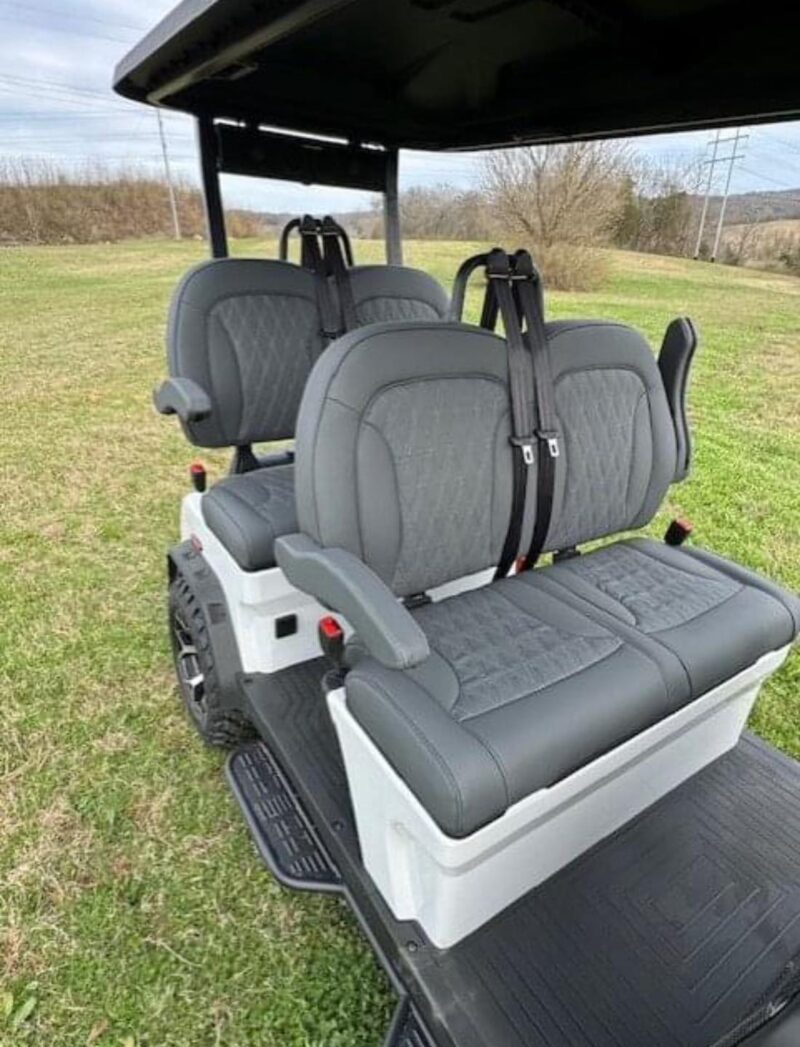 Brand New 2024 Denago Rover XL Golf Cart. LITHIUM POWERED - Image 6
