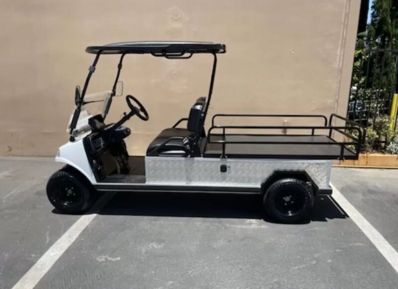 2022 Evolution Electric Vehicle Turfman 1000 - Image 2